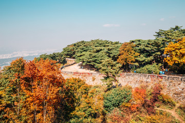 Namhansanseong Fortress and autumn maple trees in Gwangju, Korea