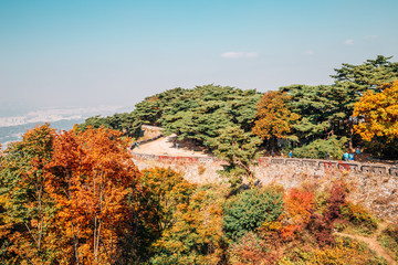 Obraz premium Namhansanseong Fortress and autumn maple trees in Gwangju, Korea