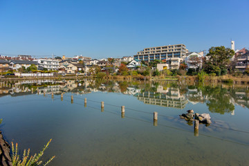 小池公園