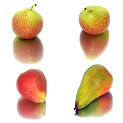 a lot of big, ripe, bright pears. pears on a white background, whole and in cross section.