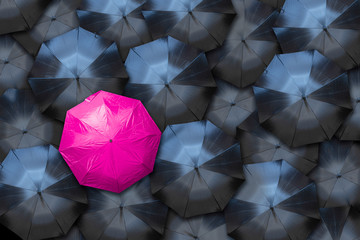 Nonconforming Feminine Umbrella