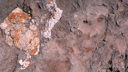 Sedimentary chert rock found along the Gasconade River, Pulaski County Missouri.  Rock fills the screeen.