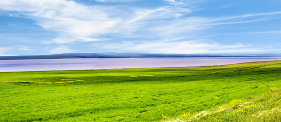 Fototapeta na wymiar Green grass field and bright blue sky