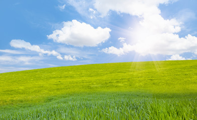 Green grass field and bright blue sky