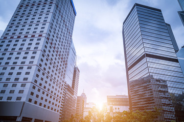 Obraz premium Bottom view of office building window close up