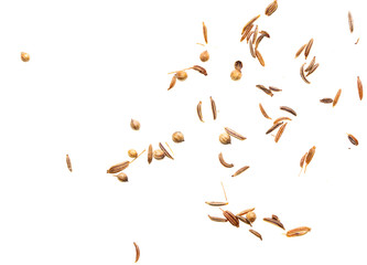 Sesame seeds with bread on white background