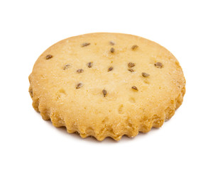 Single Salted Cumin Cookie or Jeera Cookie as we call them in India are ideal for tea time. Little Sweet and Little Salty isolated on White Background