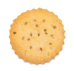 Single Salted Cumin Cookie or Jeera Cookie as we call them in India are ideal for tea time. Little Sweet and Little Salty isolated on White Background