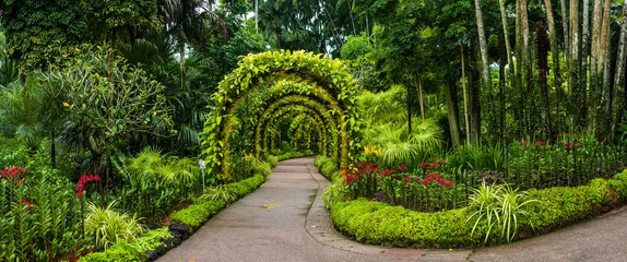 Washable wall murals Garden panorama, orchid arch in Singapore botanical gardens