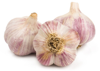 garlic on white background isolated