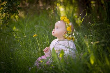 Beautiful infant baby girl portrait  in nature