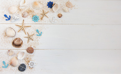 Obraz na płótnie Canvas sea shells on a white wooden table