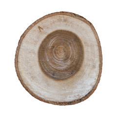 stump of tree isolated on white background included clipping path, top view