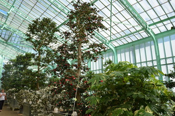 Orangerie des Serres royales de Laeken