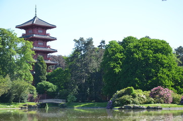  Tour japonaise à Laeken - Bruxelles - Belgique