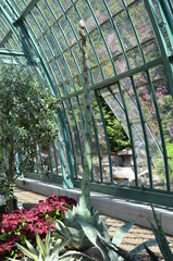 Serres royales de Laeken 