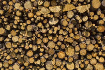 Holz - Brennholz - Äste - Scheite - Stapel - Menge