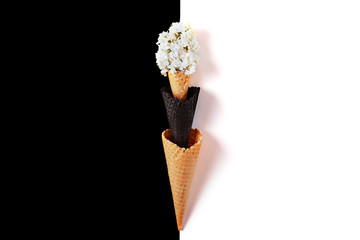 Waffle on black and white background