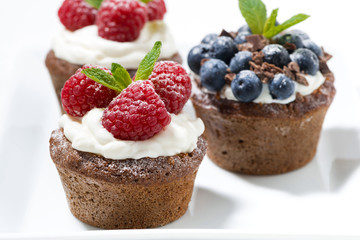 sweet chocolate cupcakes with fresh berries, closeup