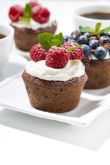 sweet chocolate cupcakes with fresh berries for dessert, vertical