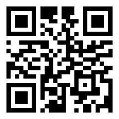 Big informational qr code for digital scanners