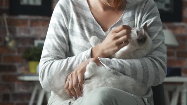 Woman holding a beautiful cat in her arms