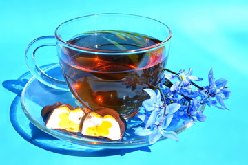 First spring blue flowers. Bouquet garden snowdrop with nice chocolate candy on glass transparent cup of warm tea and dish in morning bright rays sunlight with shadow on blue gradient fill background