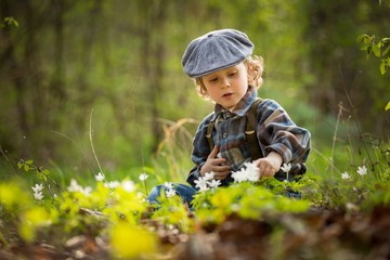 Small boy playing in spring forest - 205182157