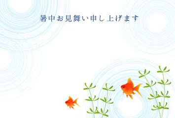 金魚　水草　暑中見舞い　背景