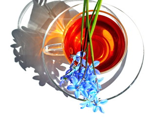 First spring blue flowers. Bouquet garden snowdrop on glass transparent cup of warm tea and dish in morning bright rays sunlight with shadow on white background. Top view