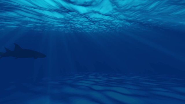 animation of ocean underwater with fish