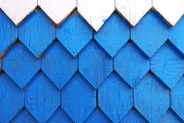 wooden fence in white and blue