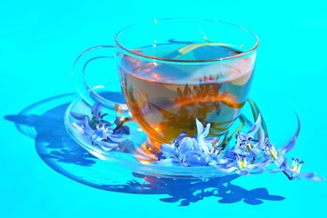 First spring blue flowers. Bouquet garden snowdrop next glass transparent cup of warm tea and dish in morning bright rays sunlight with shadow on blue background. 