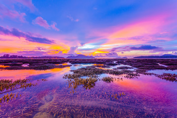 scenery sunrise above the coral reef during low tide in Phuket island. during low tide we can see a...