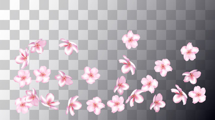 Wedding Sakura Cherry, Rose Petals Floral Confetti. Shower Vector Peach Apple Blossom Soft Sakura Cherry and Rose Confetti Falling Down. Windy Floral Design, Natural Cosmetics Decoration.