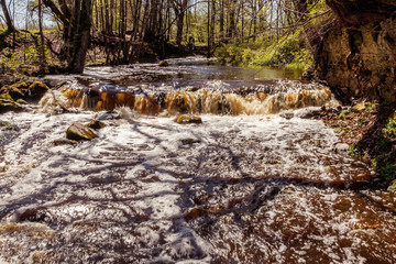 Latvia.pa green coast with old trees floods river with Irving Falls