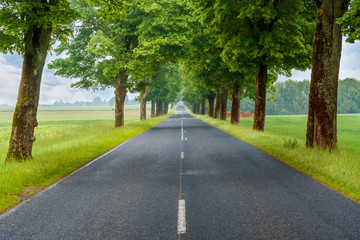 Landstra&szlig;e in Frankreich