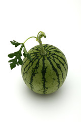 すいか　つる、葉付き