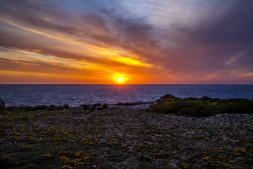Costa de Porto Colom, Mallorca