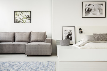 Real photo of a simple, open space flat interior with sleeping and living space. Gray corner sofa next to a white bed on a platform