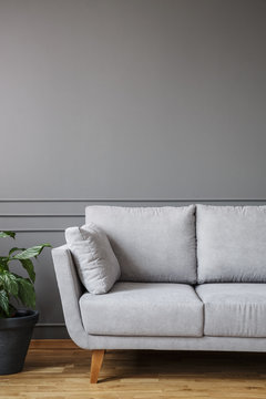 Light grey sofa standing in living room interior with potted plant and empty wall. Place your poster here