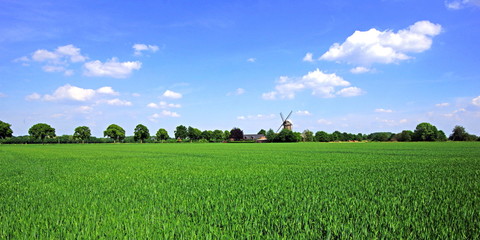 Naturlandschaft um KEVELAER am Niederrhein