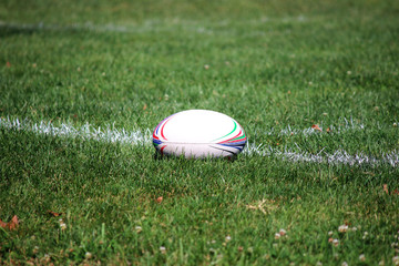 rugby ball on the green field
