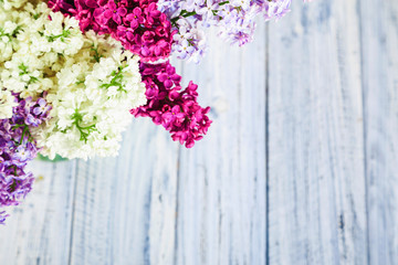 green on a wooden background