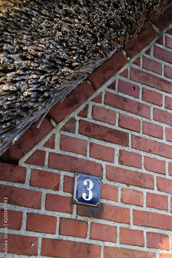 Wall mural Traditional frisian brick house with a thatched roof and a blue iron house number plate