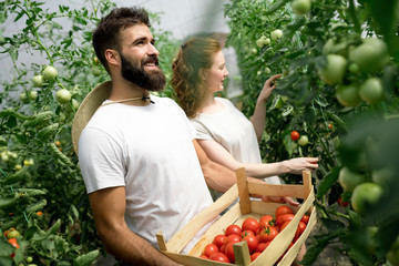 Young couple farming vegetables