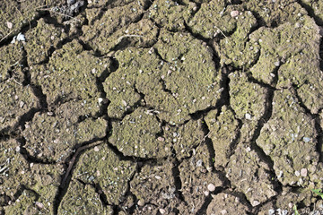 Cracks on dry soil, close-up, texture, background