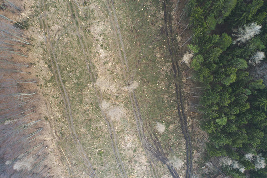 aerial drone flight with copter over deforested forest in austria in march