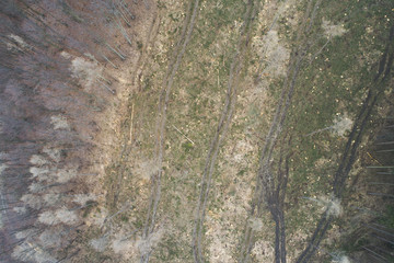 aerial drone flight with copter over deforested forest in austria in march
