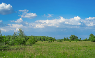 Plain landscape background